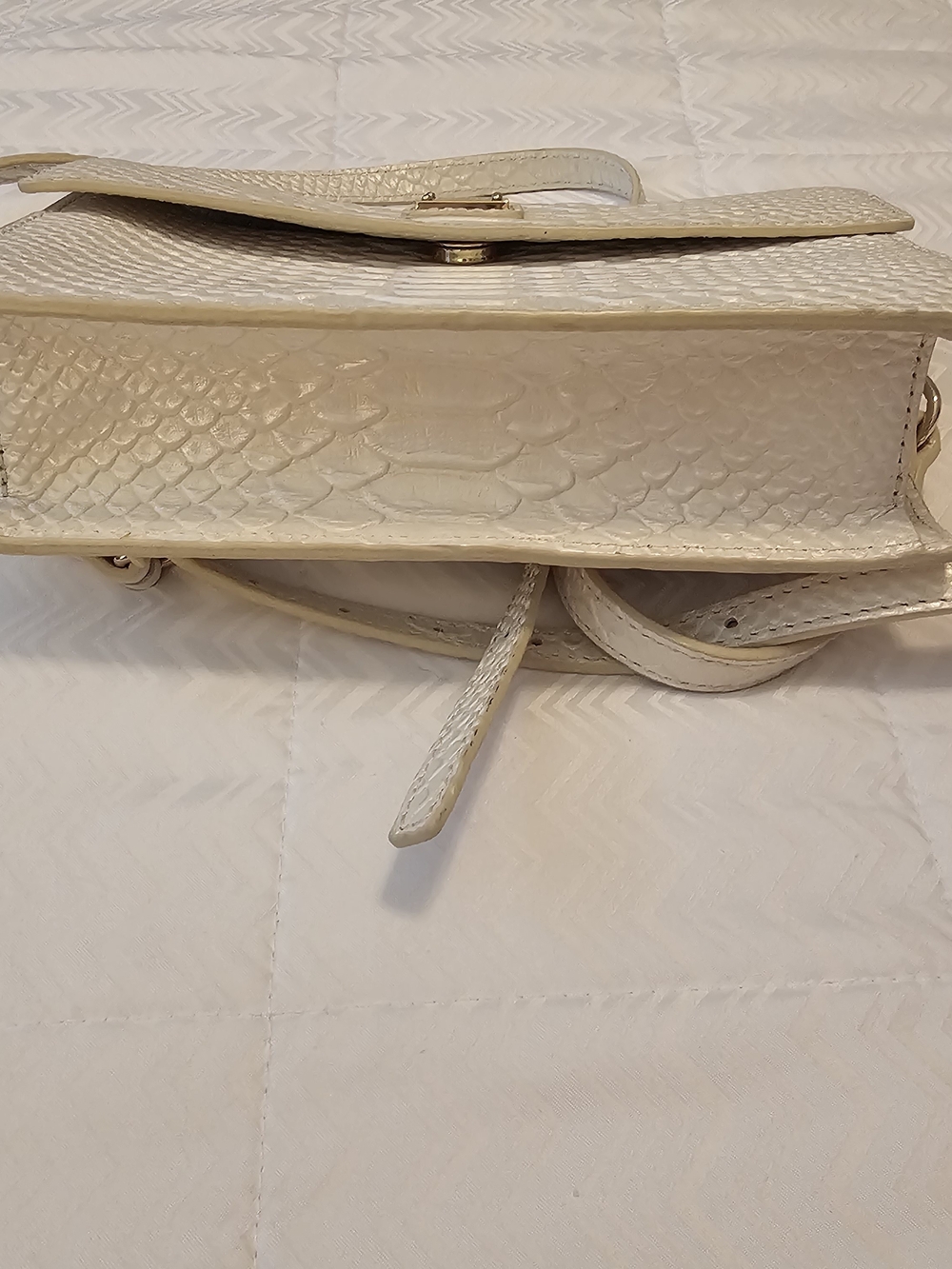 Dooney & Bourke Snake-Embossed Cream Crossbody - Picture 5 of 5